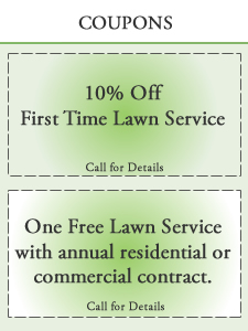 KATY LAWN MOWING SPECIALS