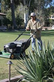 KATY LAWN MOWING SERVICE